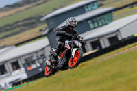 PJ-Motorsport-2019;anglesey-no-limits-trackday;anglesey-photographs;anglesey-trackday-photographs;enduro-digital-images;event-digital-images;eventdigitalimages;no-limits-trackdays;peter-wileman-photography;racing-digital-images;trac-mon;trackday-digital-images;trackday-photos;ty-croes